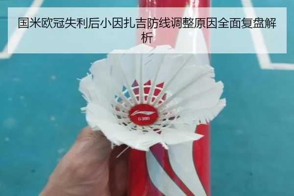 国米欧冠失利后小因扎吉防线调整原因全面复盘解析